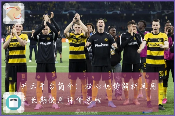 开云平台简介：核心优势解析及用户长期使用评价总结
