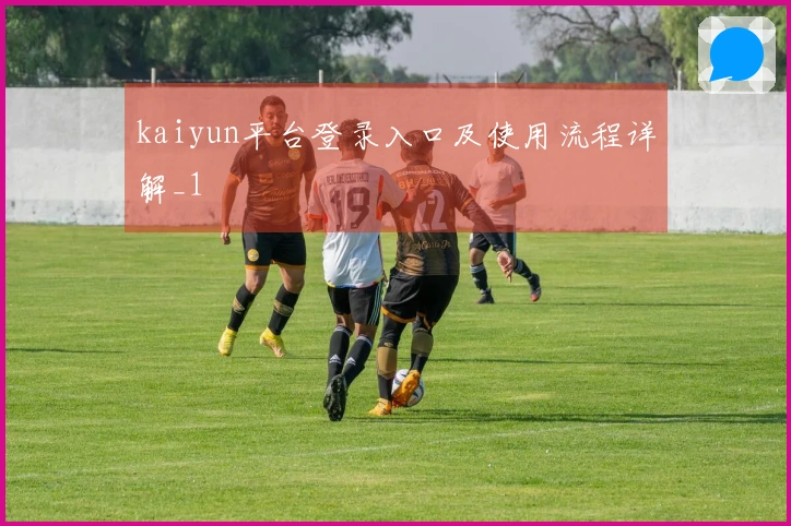 kaiyun平台登录入口及使用流程详解_1