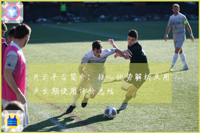 开云平台简介：核心优势解析及用户长期使用评价总结