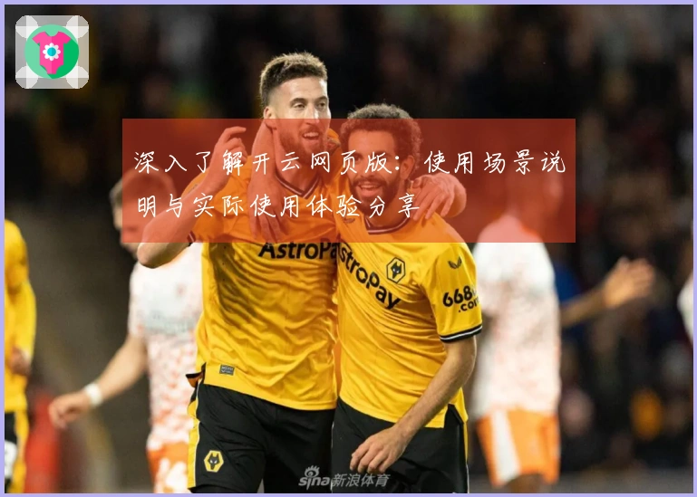 深入了解开云网页版：使用场景说明与实际使用体验分享